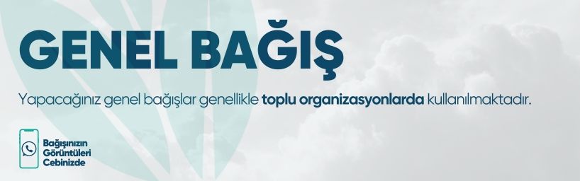 Genel Bağış