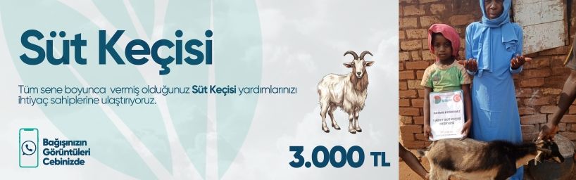 Süt Keçisi