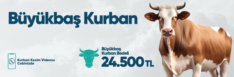 Vacip Kurbanı Büyükbaş