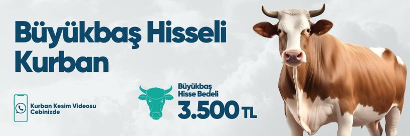 Vacip Kurbanı Büyükbaş Hisseli