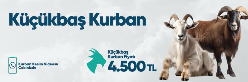 Vacip Kurbanı Küçükbaş