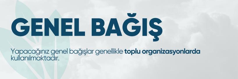 Genel Bağış